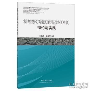 松散煤体巷道旋喷改性控制理论与实践