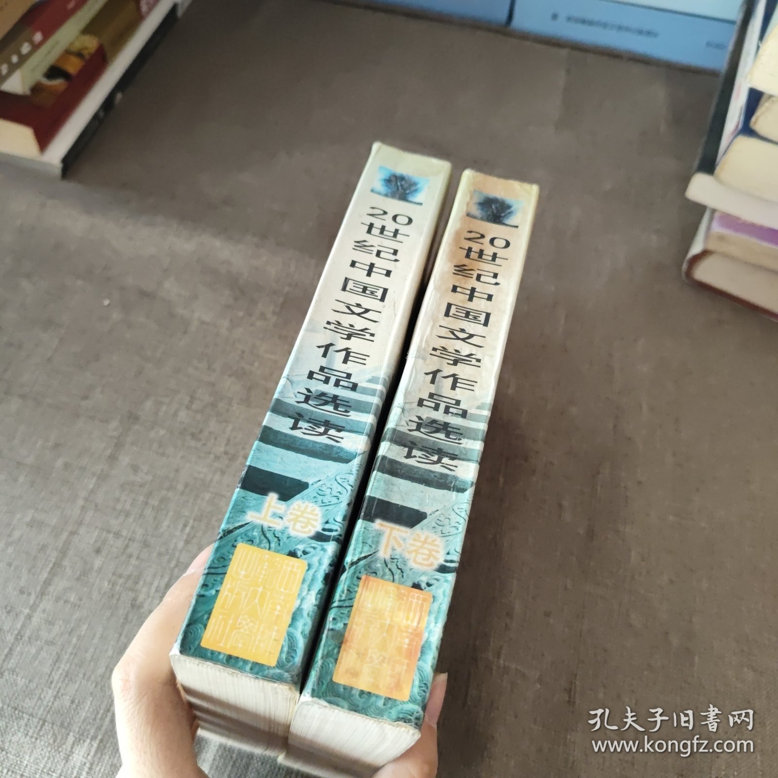 20世纪中国文学作品选读(上下卷)