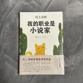 我的职业是小说家