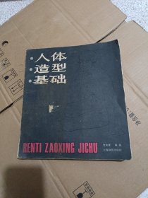 人体造型基础