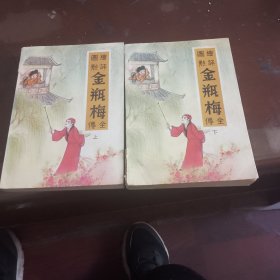 绘图评点金瓶梅全传（全两册）