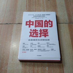 中国的选择：中美博弈与战略抉择（中美关系是一道如何搞好的必答题，是两国必须回答好的世纪之问）