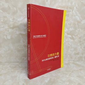 习惯的力量：为什么我们会这样生活，那样工作