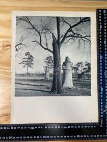 1946年法国出版物老照片印刷品——（大尺寸，正背面）——[DA01+B0006]——北京公主坟