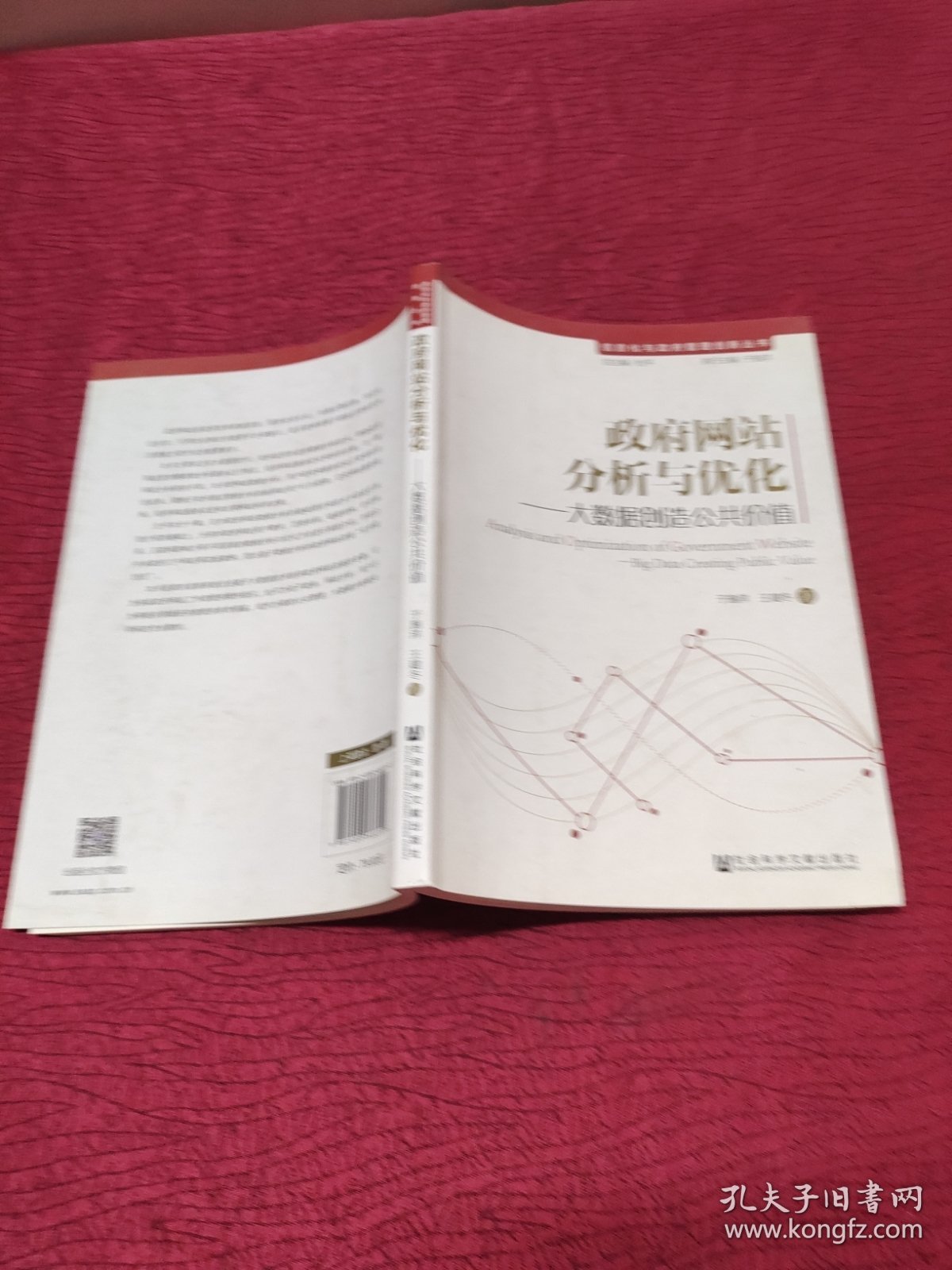 信息化与政府管理创新丛书：政府网站分析与优化——大数据创造公共价值