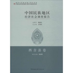 中国民族地区经济社会调查报告：西吉县卷