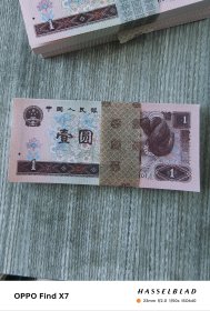 第四套人民币壹元