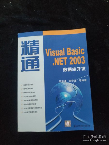 精通Visual Basic.NET 2003数据库开发