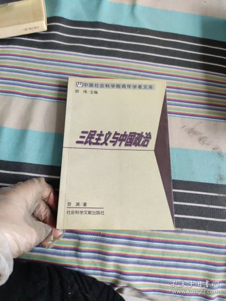 三民主义与中国政治——中国社会科学院青年学者文库/文史系列