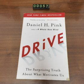 英文 Drive: The Surprising Truth about What Motivates Us