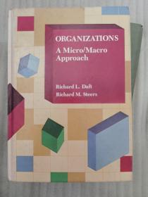 ORGANIZATIONS  A Micro / Macro  Approach