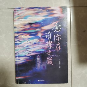 念你在璀璨之巅