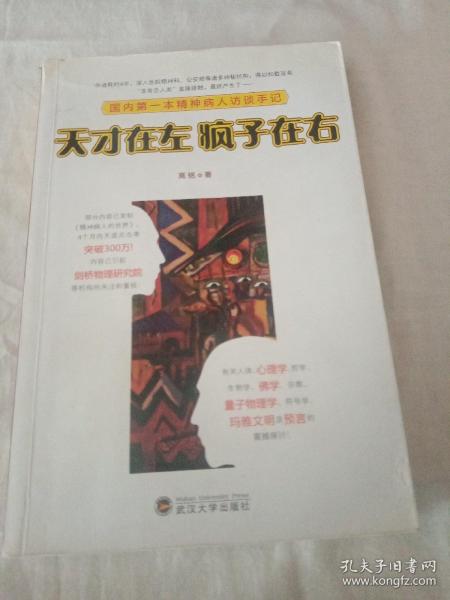 天才在左 疯子在右：国内第一本精神病人访谈手记