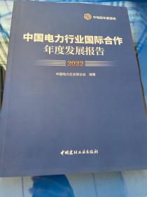 中国电力行业国际合作年度发展报告2022