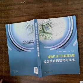 城镇片区开发投资决策综合性咨询理论与实务