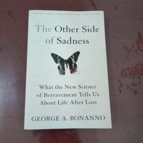 THE OTHER SIDE OF SADNESS：WHAT THE NEW SCIENCE OF BEREAVEMENT TELLS US ABOUT LIFE AFTER LOSS【1134】悲伤的另一面 英文原版