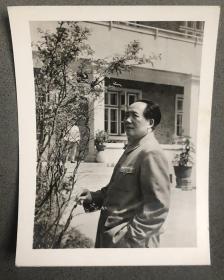 50年代毛主席生活照 老照片