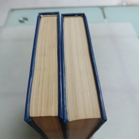 隸书大字典(上下册)