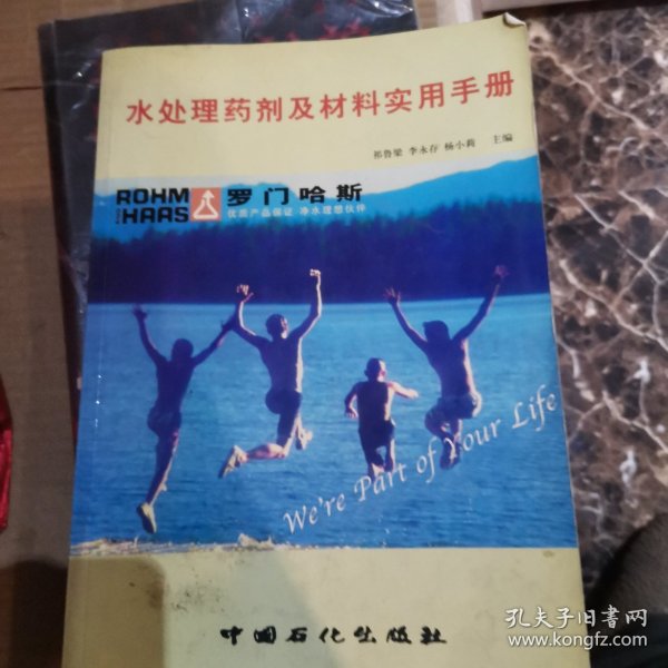 水处理药剂及材料实用手册