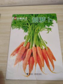 小聪仔科普胡萝卜