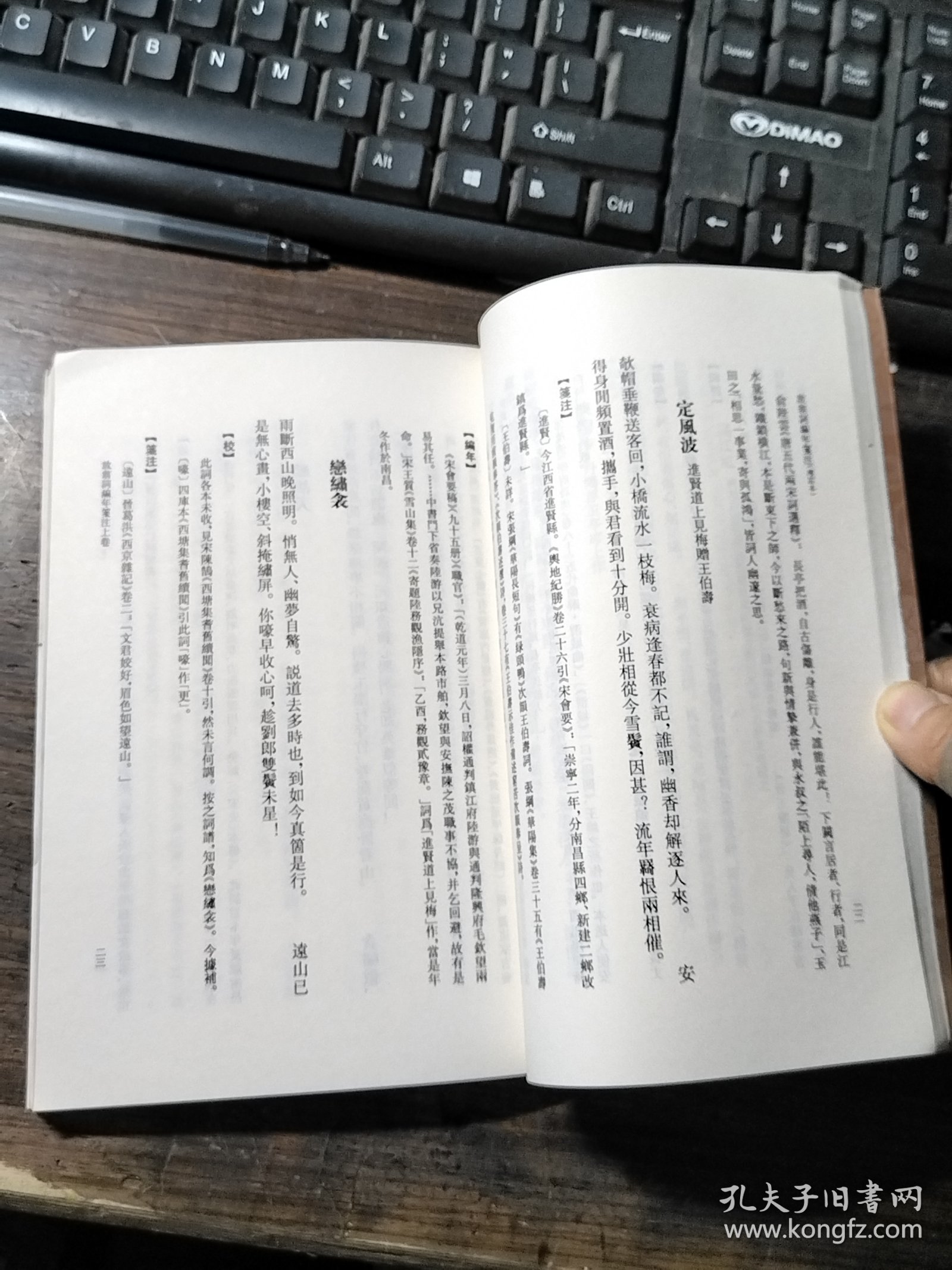 放翁词编年笺注：中国古典文学丛书