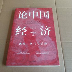 论中国经济：挑战、底气与后劲