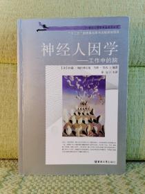 神經(jīng)人因?qū)W：工作中的腦