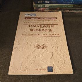 DAMA 数据管理知识体系指南（计算机科学与技术学科前沿丛书）（中文版）