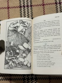 【英文】 The Regional Accounts Director of Firetop Mountain（精装插画本） 品相自鉴