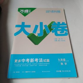 万唯中考大小卷，九年级数学，(全一册)