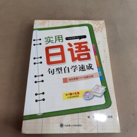 实用日语句型自学速成，