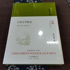 大家小书  古典文学略述（精）