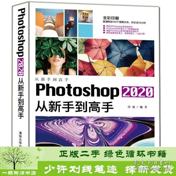 Photoshop2020从新手到高手（从新手到高手）