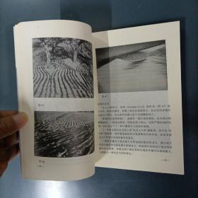摄影家参考丛书：摄影名作的诞生     （一版一印） （货azz7）