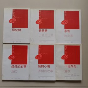 九元丛书（15册):三生石、人生、离婚指南、行为艺术、动物凶猛、棉花垛、绿化树、爸爸爸、杂色、叔叔的故事、捕捉心跳、一地鸡毛、关于詹牧师的报告文学、绝望中诞生、北极光(15册)