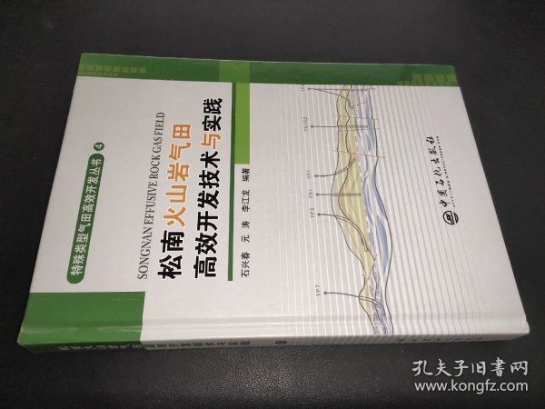 松南火山岩气田高效开发技术与实践