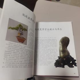 【量少版本】木石情缘——陈志福盆景赏识精选