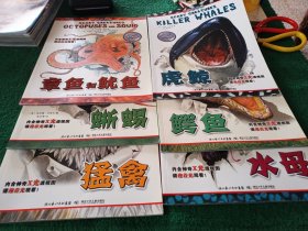 可怕的动物：猛禽，蜥蜴，章鱼和鱿鱼，虎鲸，鳄鱼，水母(6册合售)