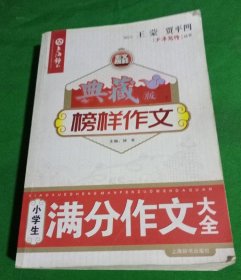 典藏-----小学生满分作文大全