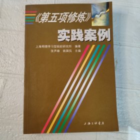 《第五项修炼》实践案例