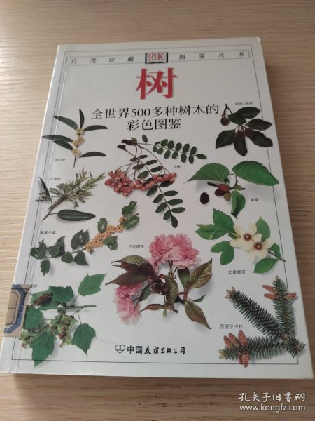 树：全世界500多种树木的彩色图鉴