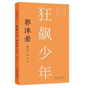 【正版新书】狂飙少年