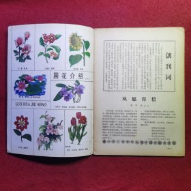 创刊号：大众花卉