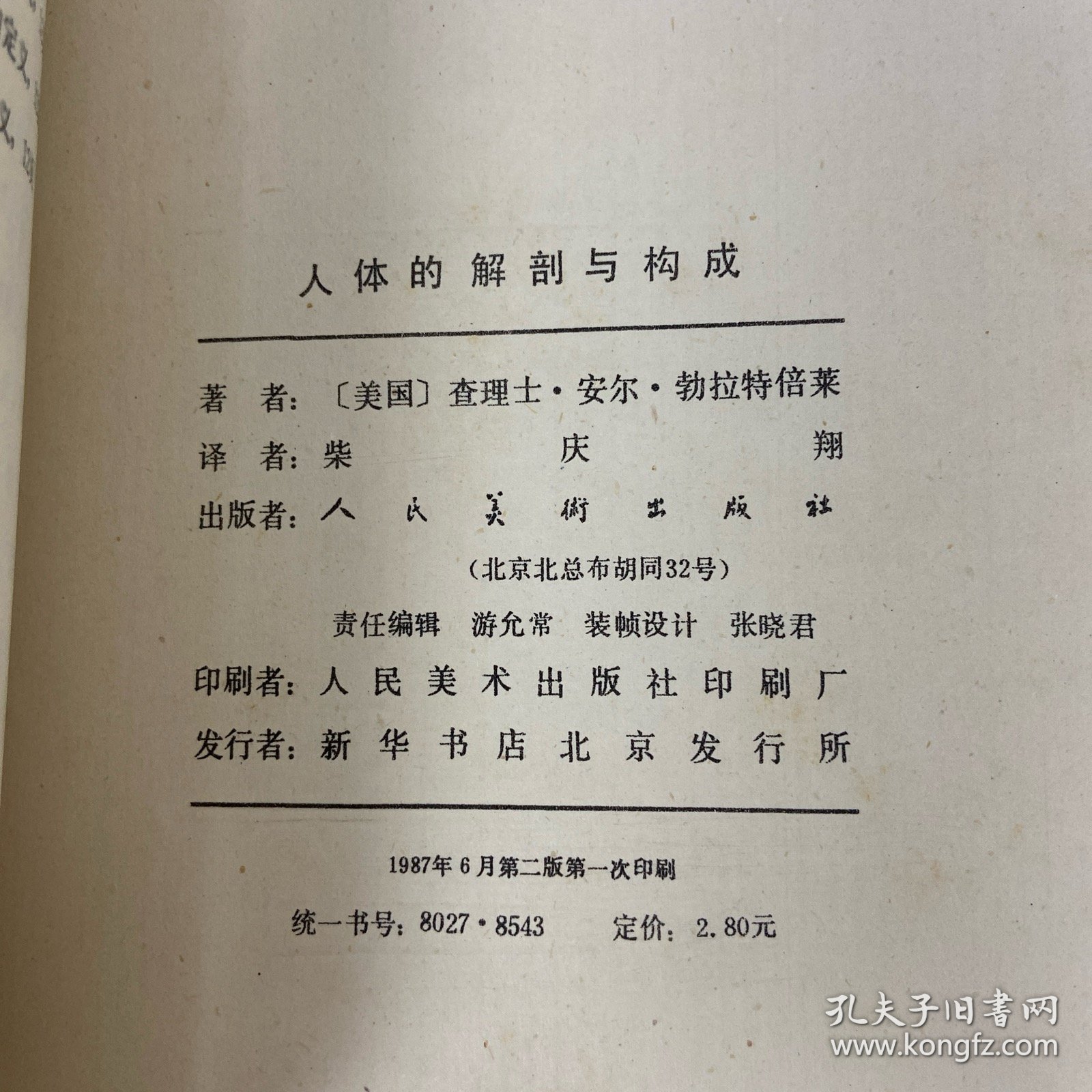 人体的解剖与构成