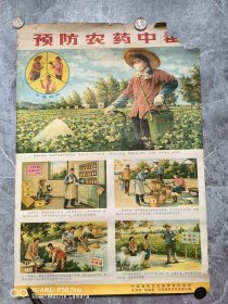 七十年代老年画宣传画。预防农药中毒。浙江宁波地区卫生宣传。慈溪镇海县防疫站编。永久包老保真怀旧少见题材。7552厘米