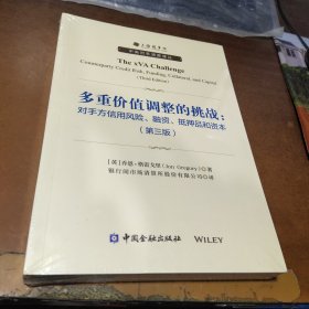 多重价值调整的挑战：对手方信用风险、融资、抵押品和资本(第三版)