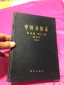中国动物志昆虫纲第十一卷鳞翅目天蛾科(精)