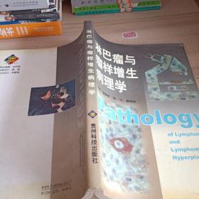 淋巴瘤與瘤樣增生病理學(xué)