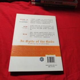 不顾诸神：现代印度的崛起与发现