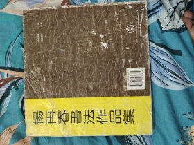 杨再春书法作品集